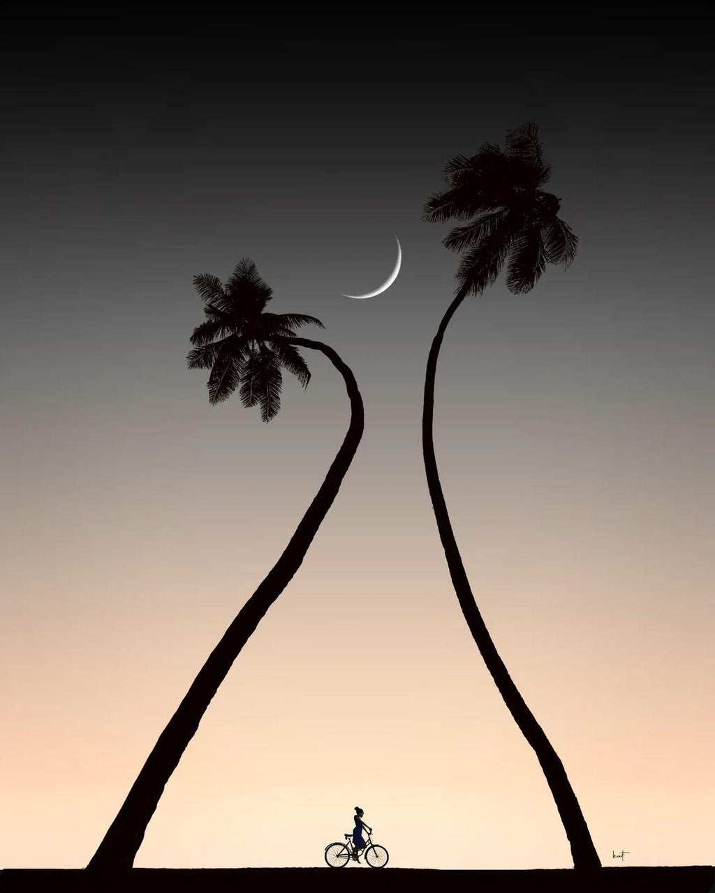 Midnight Ride — Palm Tree Silhouette Fine Art Print