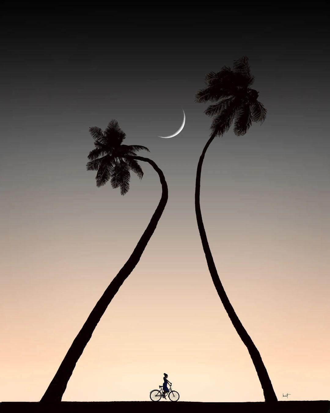Midnight Ride — Palm Tree Silhouette Fine Art Print