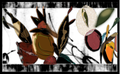My Collection of Arts done By ProducerDriss
