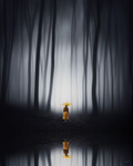 Solitude — Fine Art Print
